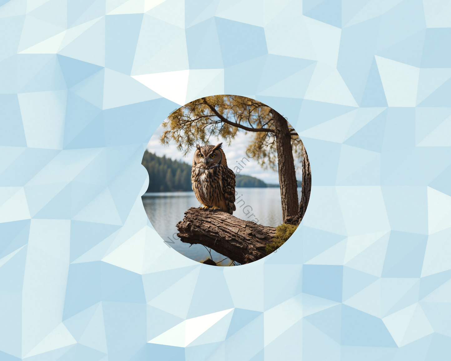 Calm Waters Owl Watcher Car Coaster