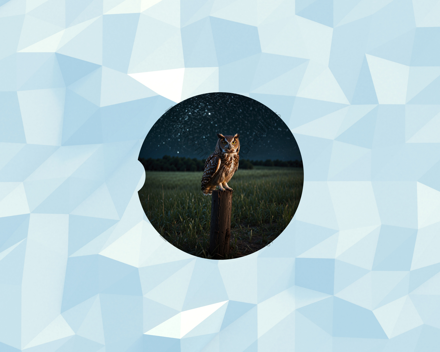 Starlit Field Owl Watcher Car Coaster