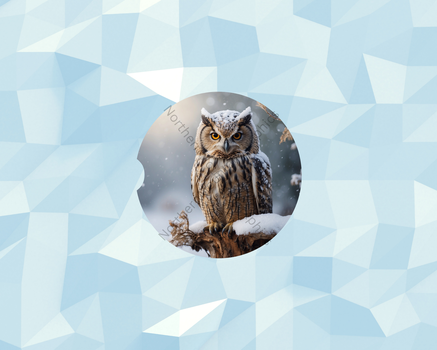 Frosted Winter Owl Car Coaster