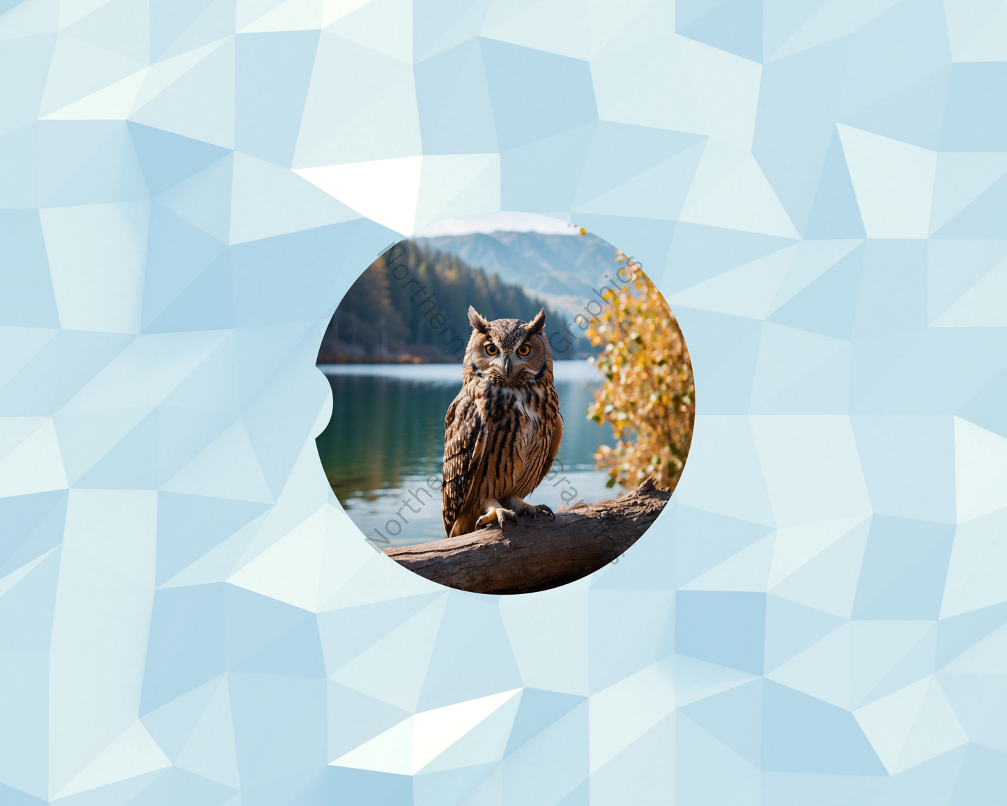 Forest Lake Owl Car Coaster