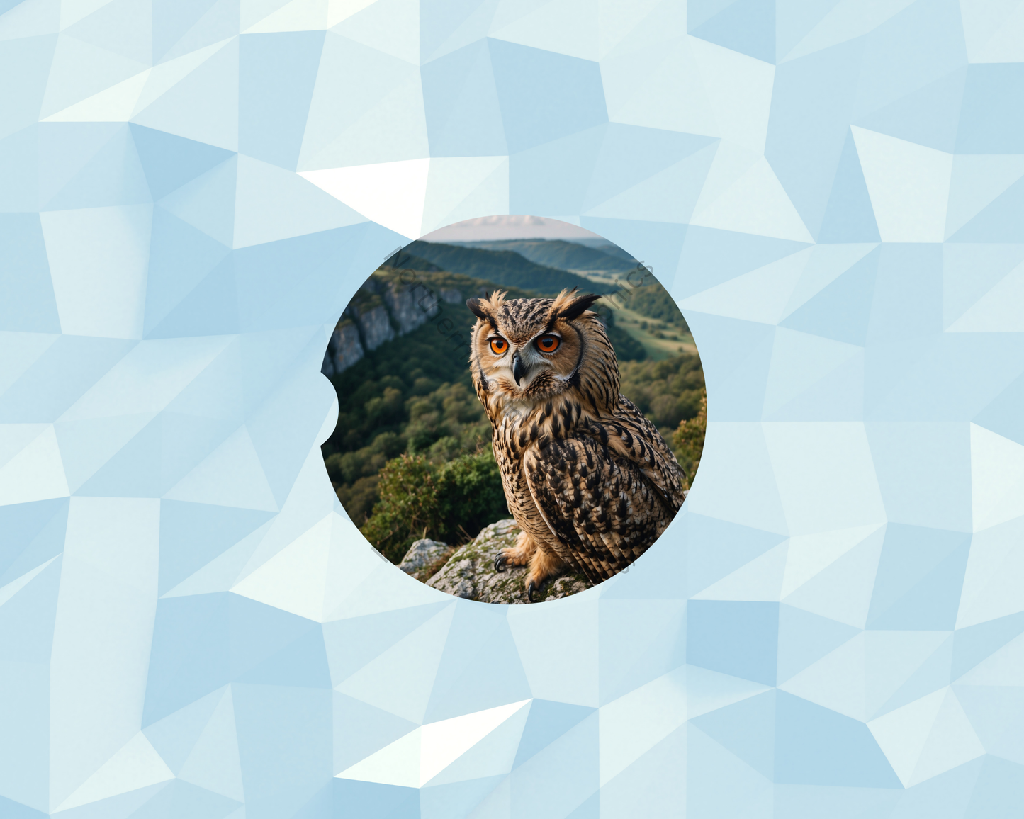 Highland Cliff Owl Watcher Car Coaster