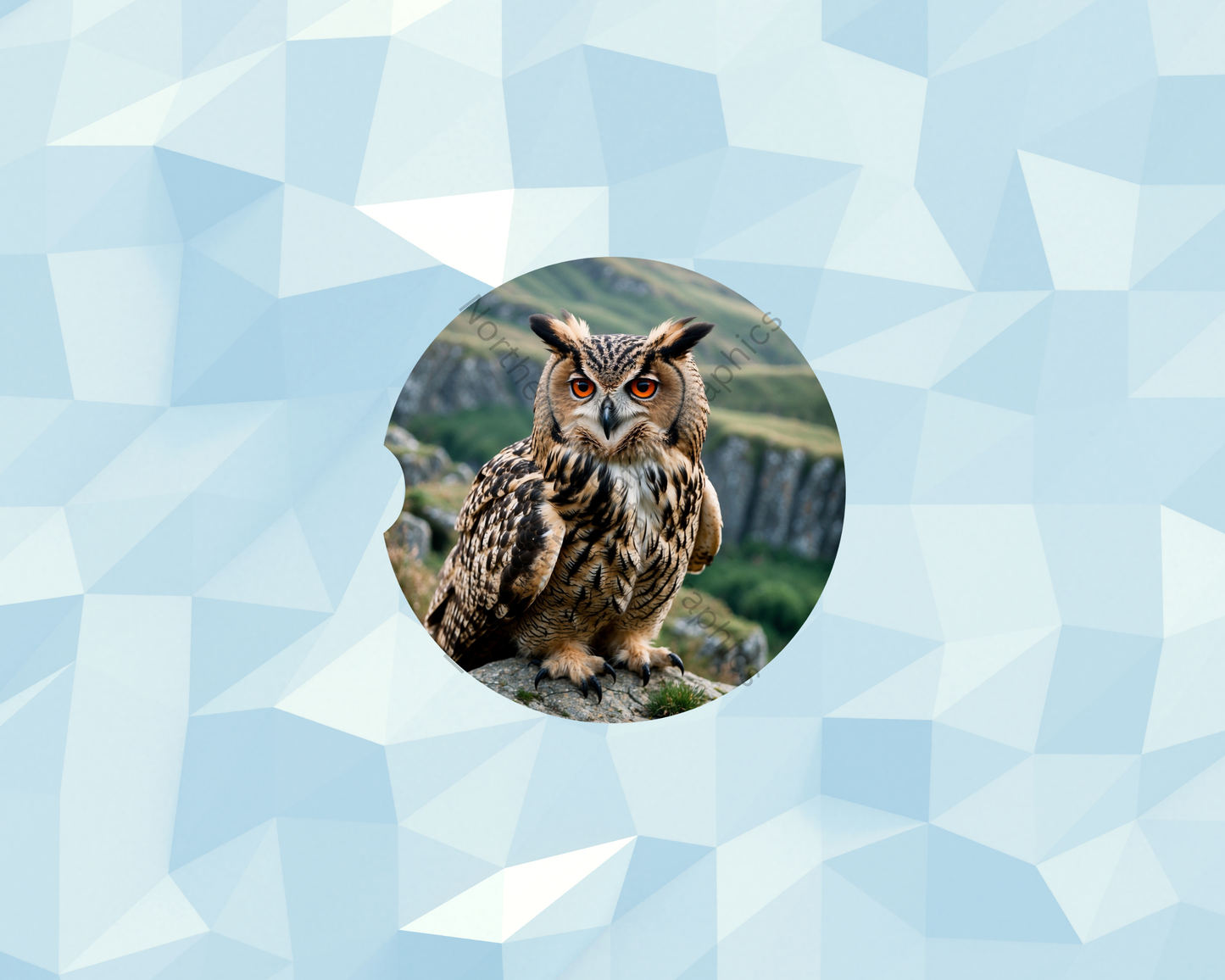 Mountain Ridge Owl Car Coaster