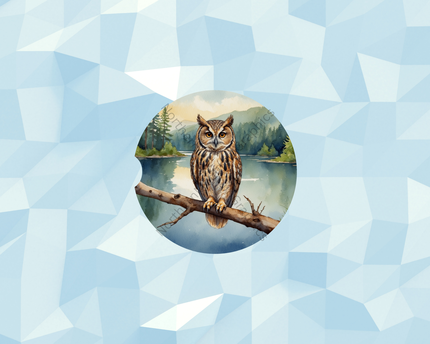 Owl on Lakeview Branch Car Coaster