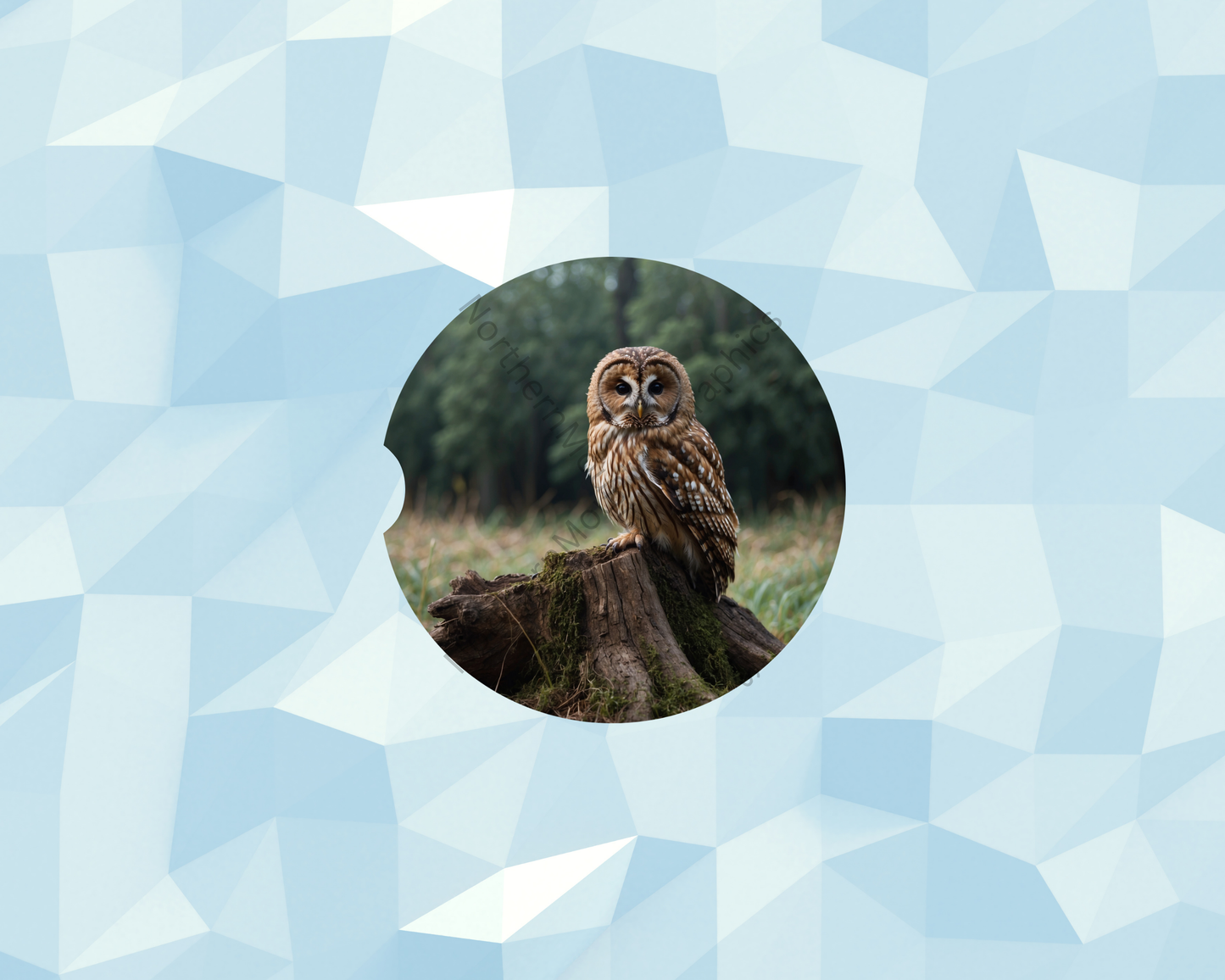 Mossy Woodland Owl Car Coaster