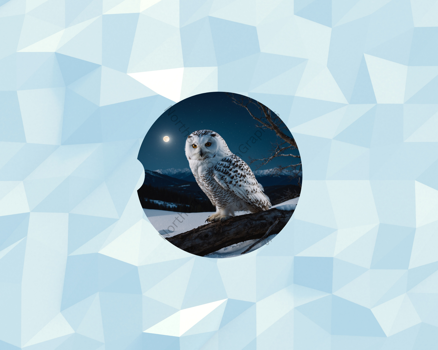 Winter Moon Owl Car Coaster
