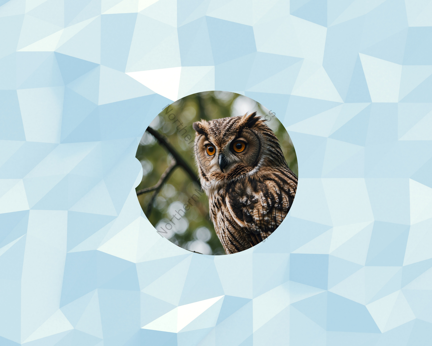 Golden-Eyed Perched Owl Car Coaster