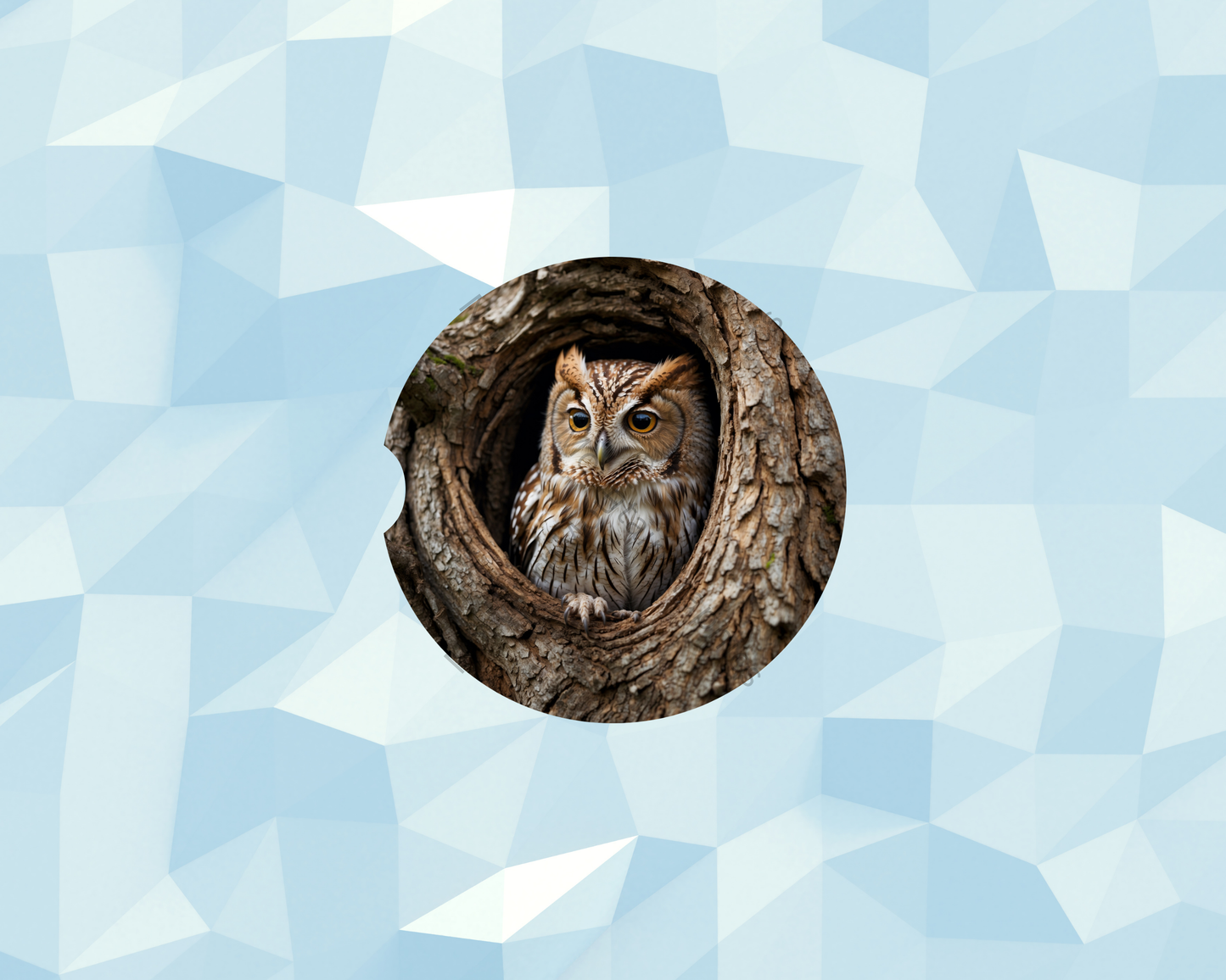 Timber Hollow Owl Watcher Car Coaster