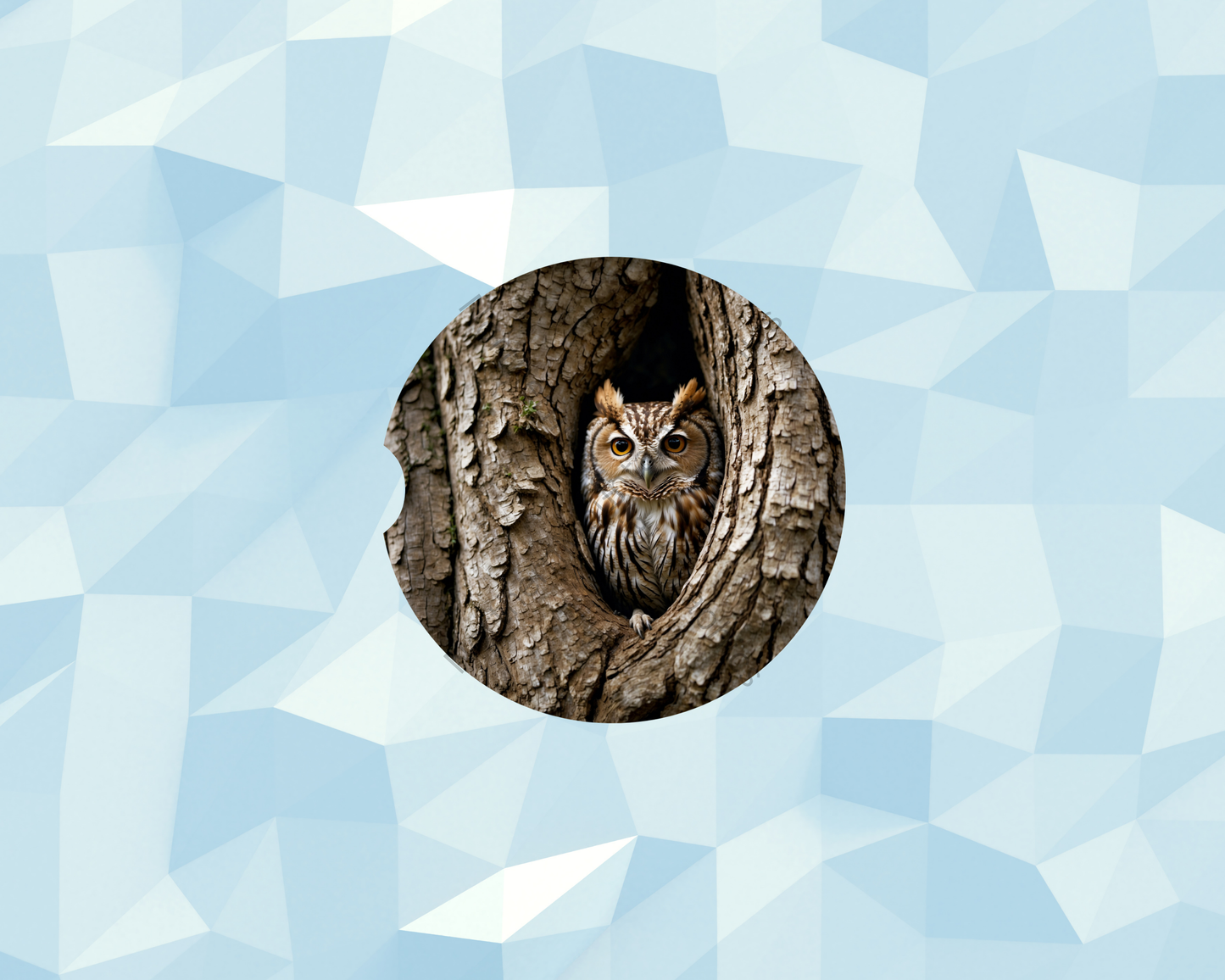Tree Crevice Owl Car Coaster