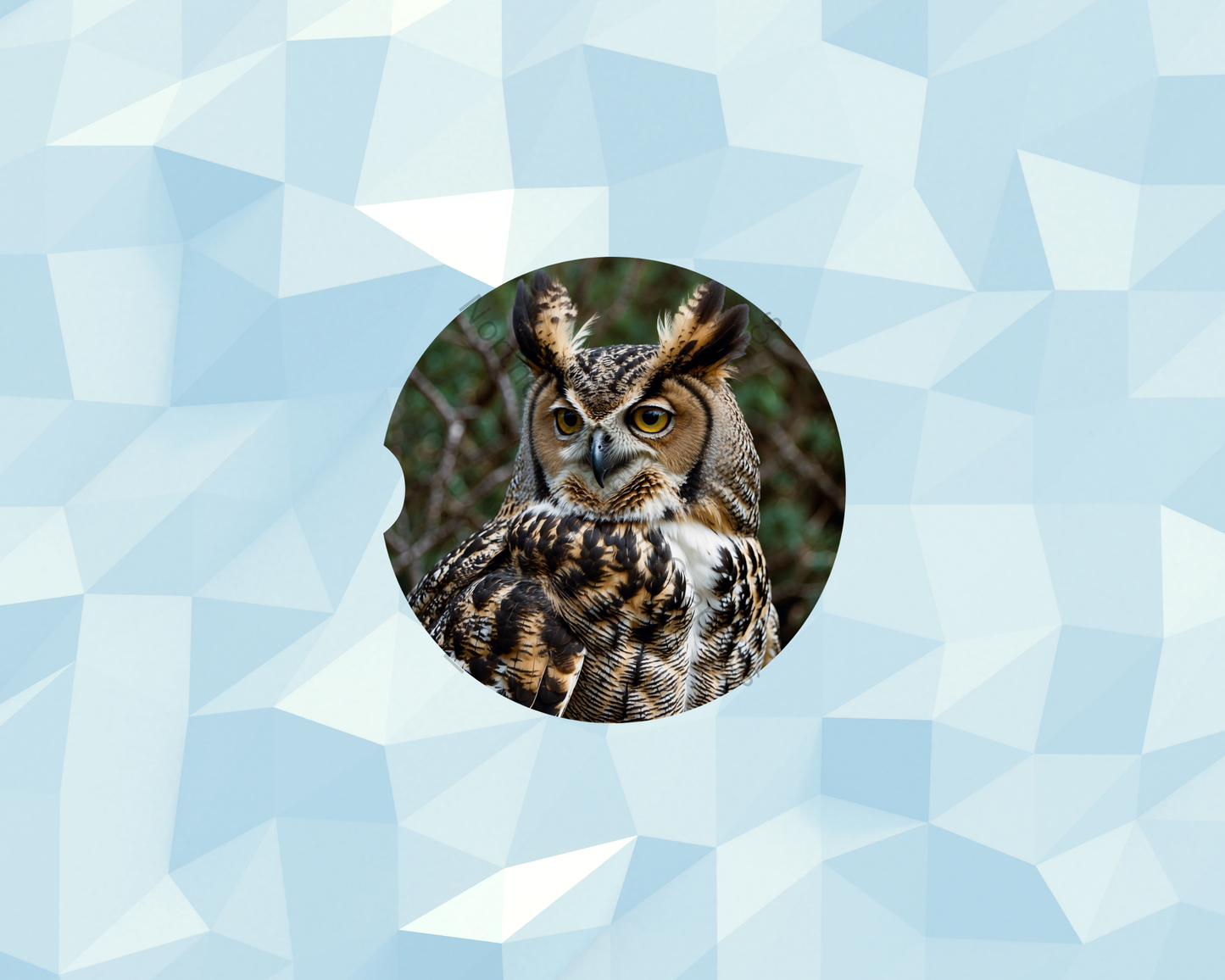 Golden Gaze Closeup Owl Car Coaster