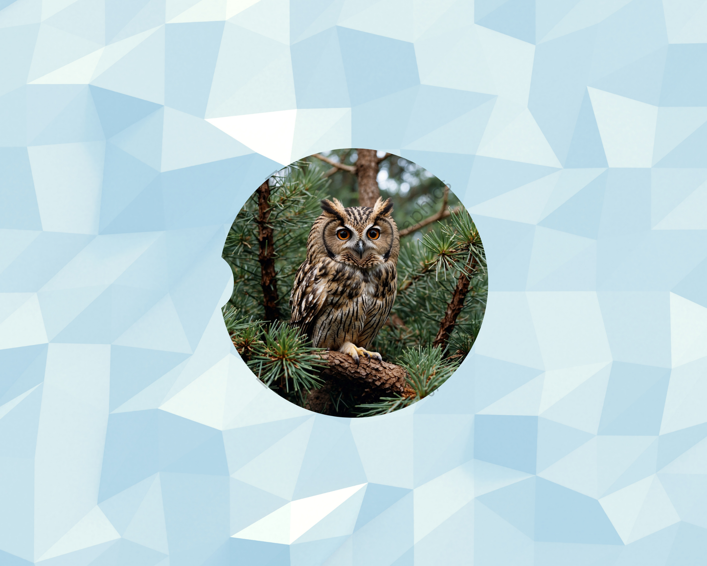 Evergreen Perched Owl Car Coaster