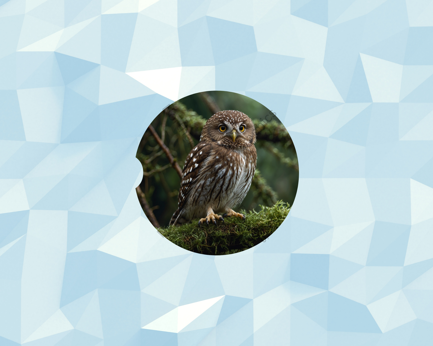 Forest Mossy Owl Car Coaster