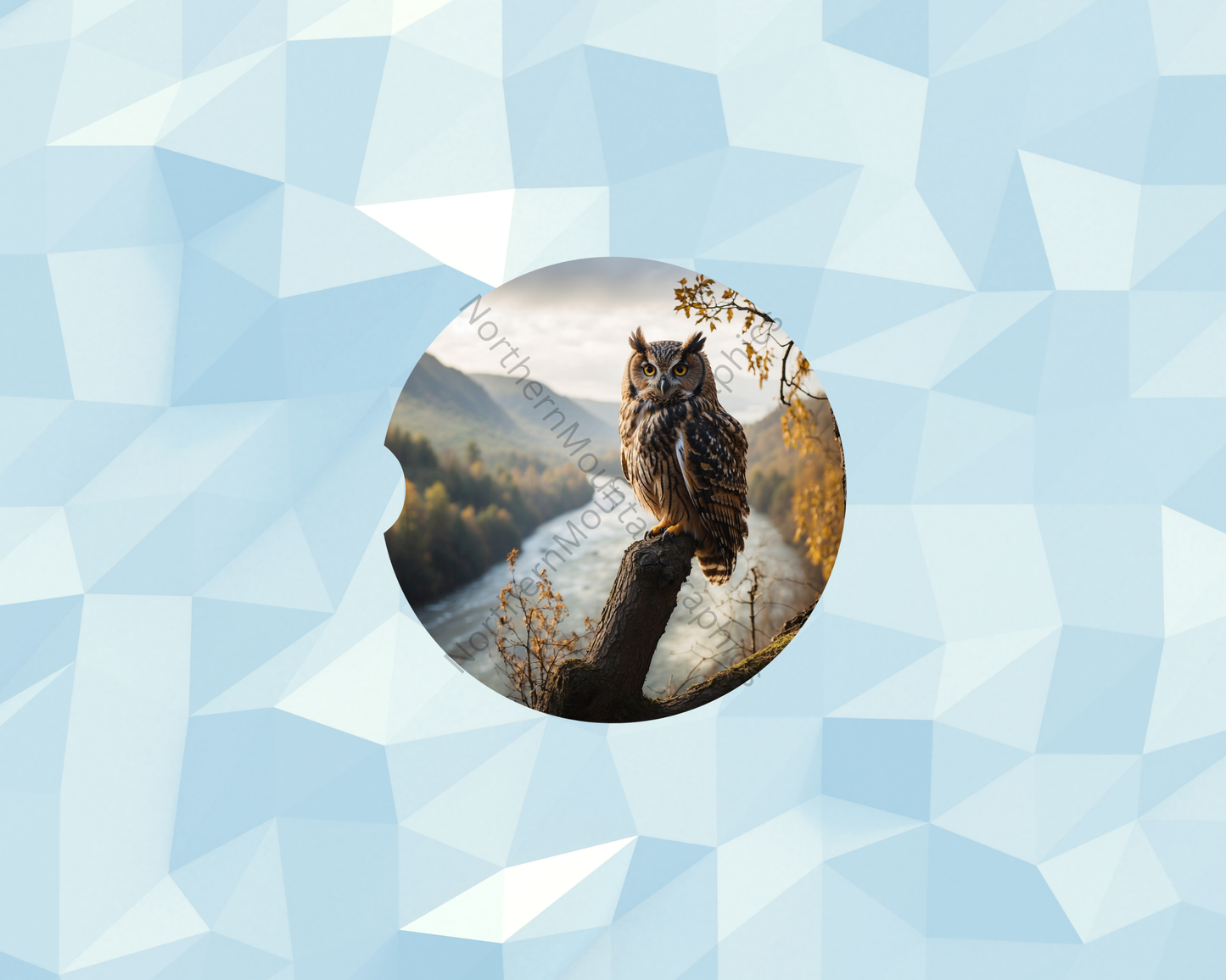 River Valley Owl Car Coaster