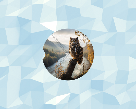 River Valley Owl Car Coaster