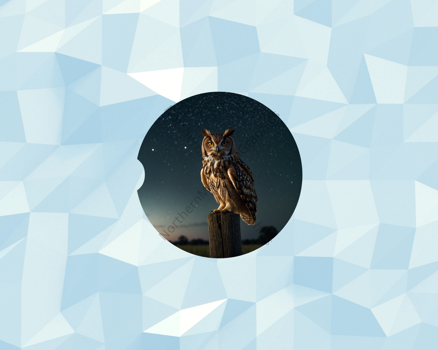 Night Sky Owl Watcher Car Coaster