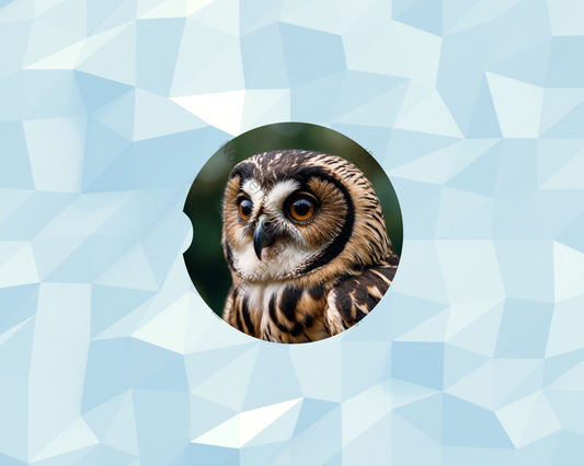 Soft-Gaze Brown Owl Car Coaster