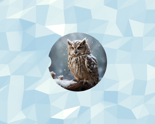 Frosted Winter Owl Watcher Car Coaster