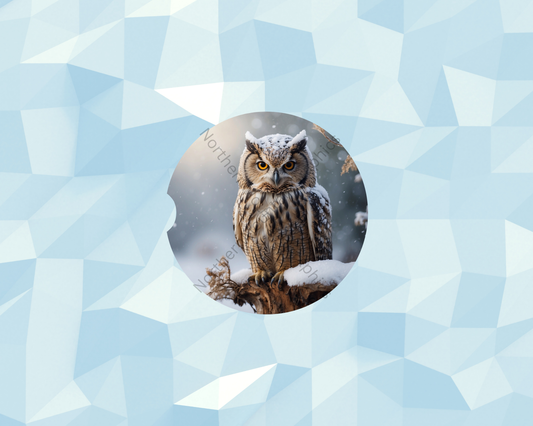 Frosted Winter Owl Car Coaster