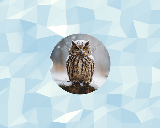 Icy Woodland Owl Car Coaster