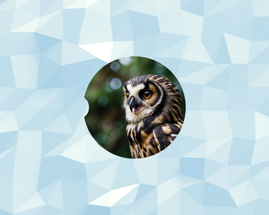 Chirping Forest Owl Car Coaster