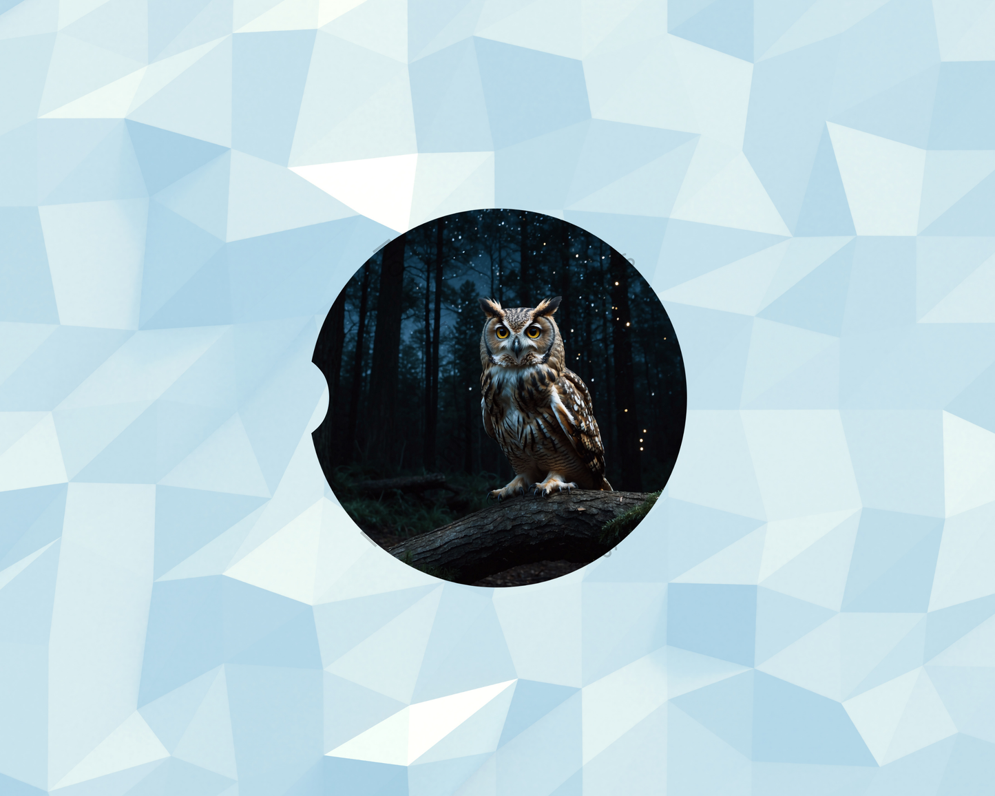 Enchanted Night Owl Car Coaster