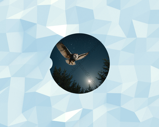 Midnight Sky Owl Hunter Car Coaster
