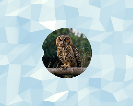 Golden-Eyed Perched Owl Car Coaster