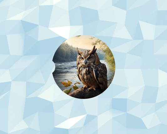 Riverbank Forest Owl Car Coaster