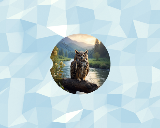Mountain Stream Owl Car Coaster