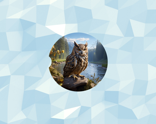 River Valley Owl Car Coaster