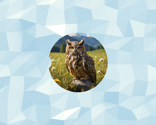 Meadow Stone Owl Car Coaster