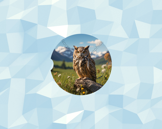 Alpine Meadow Owl Car Coaster