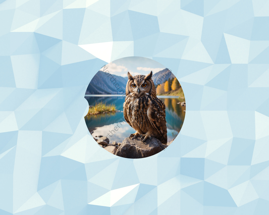 Crystal Lake Owl Car Coaster
