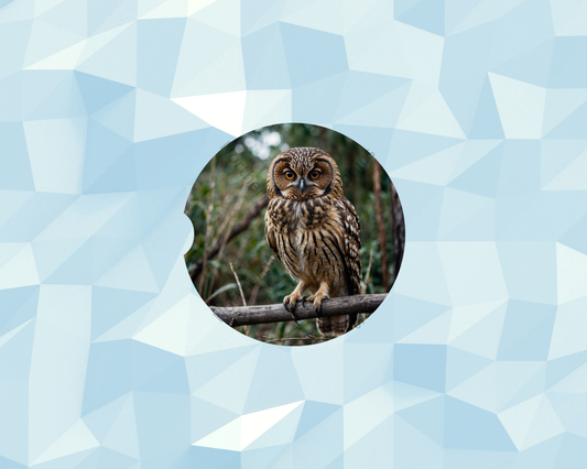 Wild Woodland Watcher Owl Car Coaster