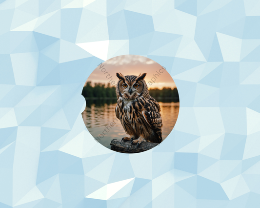 Lakeside Sunset Owl Car Coaster