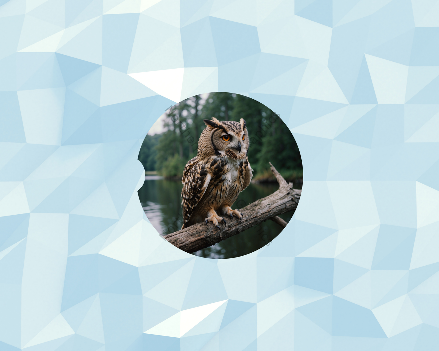 Forest Water Owl  Car Coaster