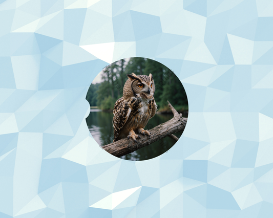 Forest Water Owl  Car Coaster