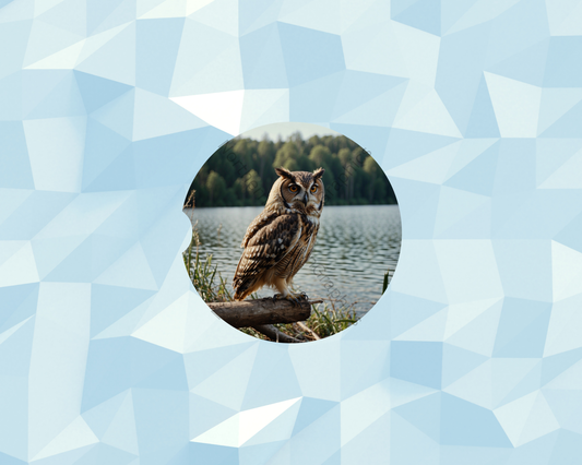 Calm Lakeshore Owl Car Coaster