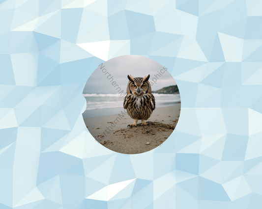 Misty Coast Owl Car Coaster
