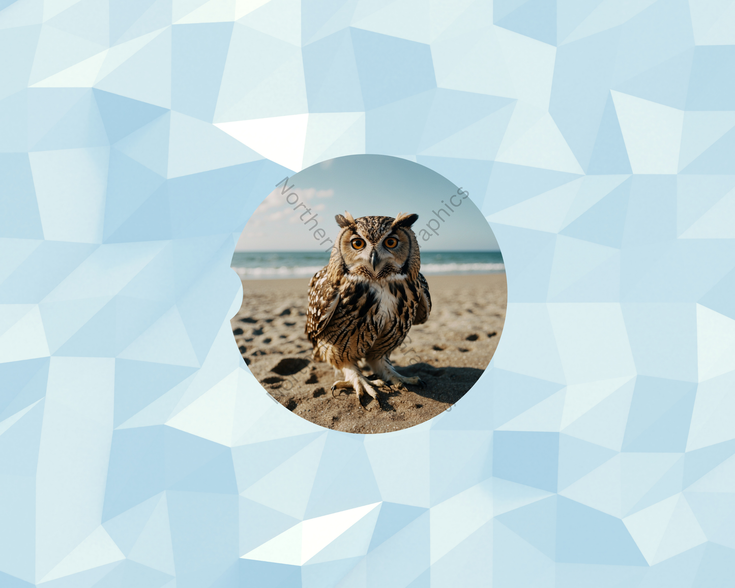 Bright Coastal Owl Car Coaster