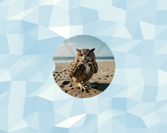 Bright Coastal Owl Car Coaster