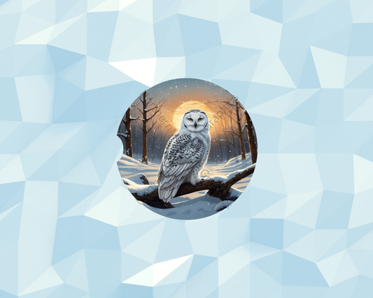 Winter Sunrise Owl Car Coaster