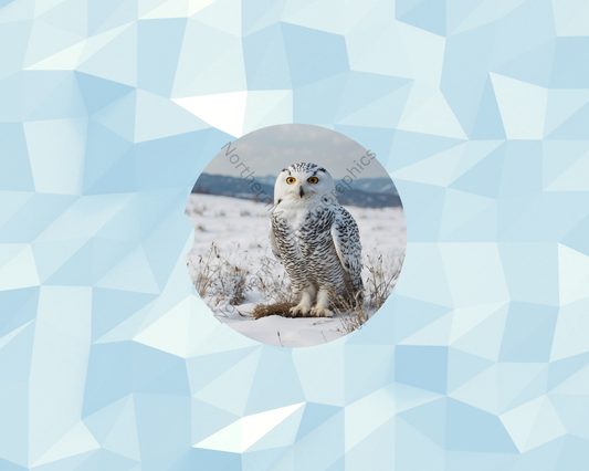 Frosted Meadow Owl Car Coaster