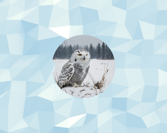 Snowfall Tundra Owl Car Coaster
