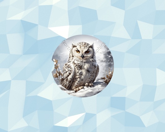 Winter Woodland Owl Car Coaster