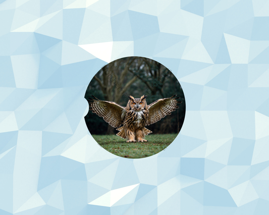 Wings of Power Owl Car Coaster