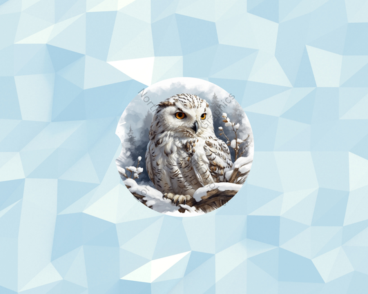Icy Forest Owl Car Coaster