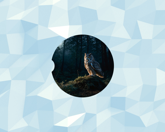 Moonlit Forest Owl Car Coaster