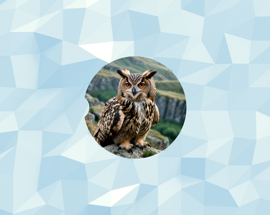 Mountain Ridge Owl Car Coaster