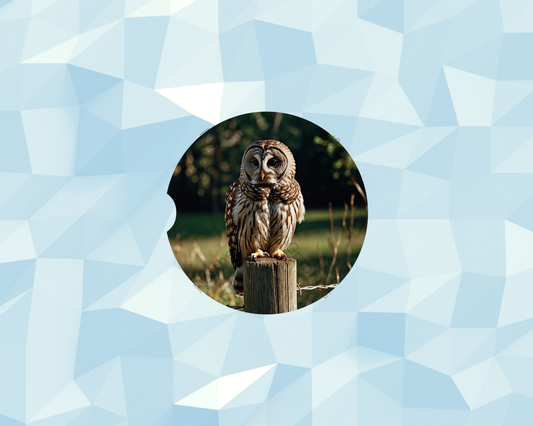 Rustic Barred Beauty Owl Car Coaster