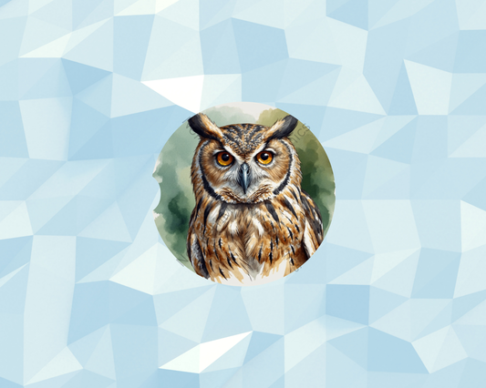 Majestic Amber-Eyed Owl Car Coaster